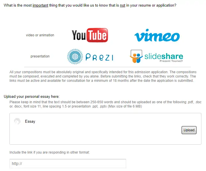 This section is intended to show who you are, not only as a student but also as a person. The goal is to understand the potential value you could offer to IE.  Take this as an opportunity to showcase your qualities and personality. You may choose between the following three forms of expression: a video (maximum of three minutes), a PowerPoint presentation (maximum of ten slides) or a written essay (between 250-650 words). Please pay particular attention to punctuation, structure, and content.